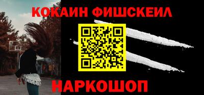 индика Можга