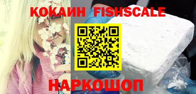 индика Можга