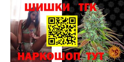 индика Можга