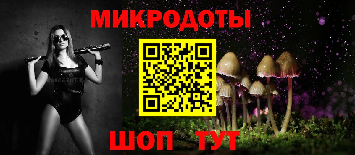 Псилоцибиновые грибы ЛСД Сегежа